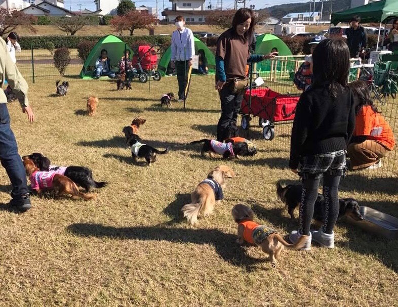 ダックスのオフ会。