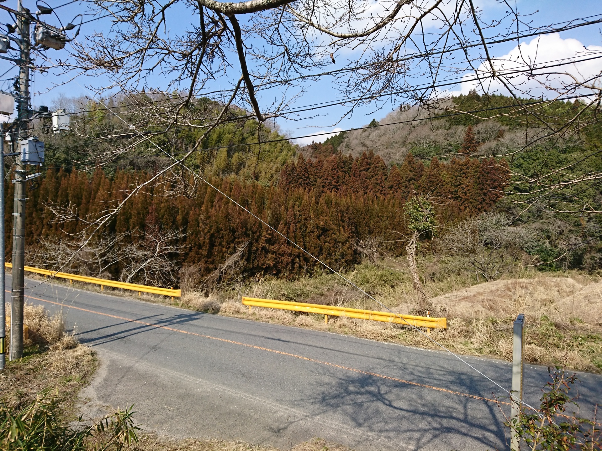 周南斎場　良い天気です。   【周南ペット小田葬儀センター】