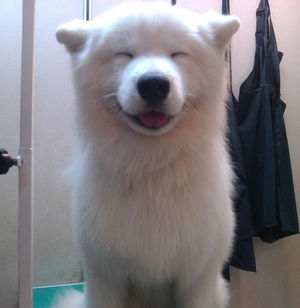 笑う。