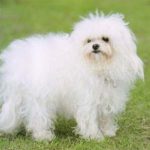 見分けがつきません…。
