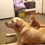 健康管理に気をつけましょう。