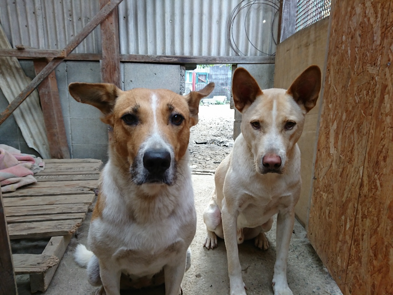 今月のおっかあとシュウです。