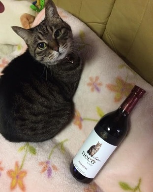 『小田ペット』　メイちゃんのご家族からのメッセージ