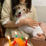 『小田ペット』　コロンちゃんのご家族からのメッセージ