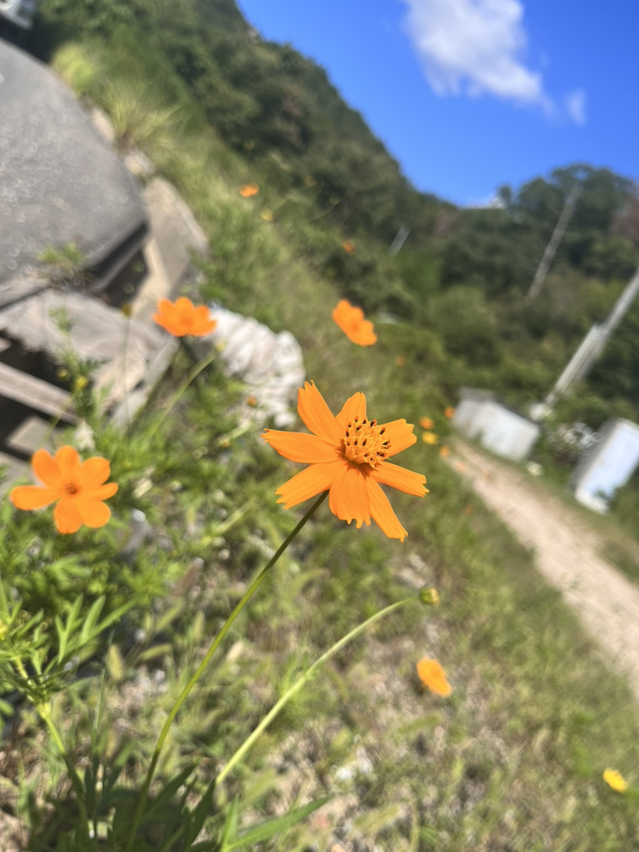 10月岩国斎場月例法要ご案内