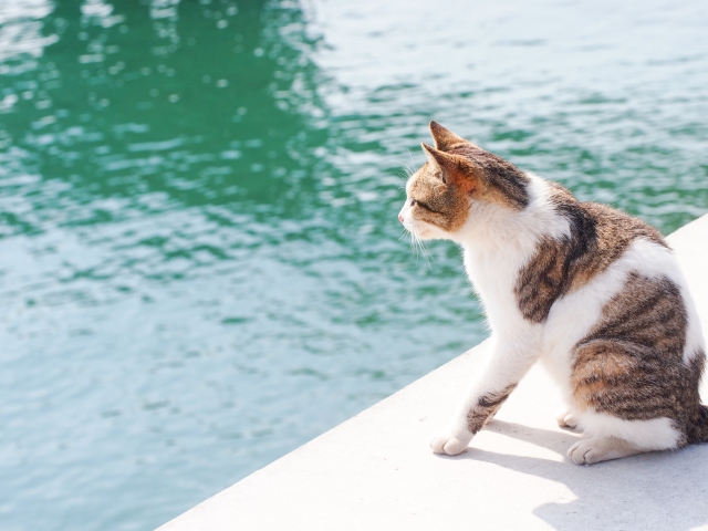 2月田布施斎場月例法要案内