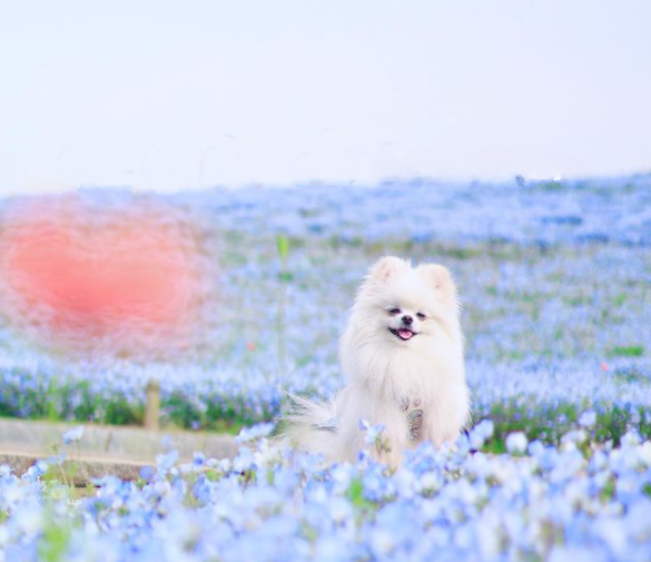 5月周南斎場月例法要案内