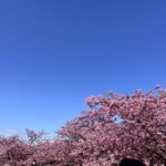 3月周南斎場供養祭ご案内